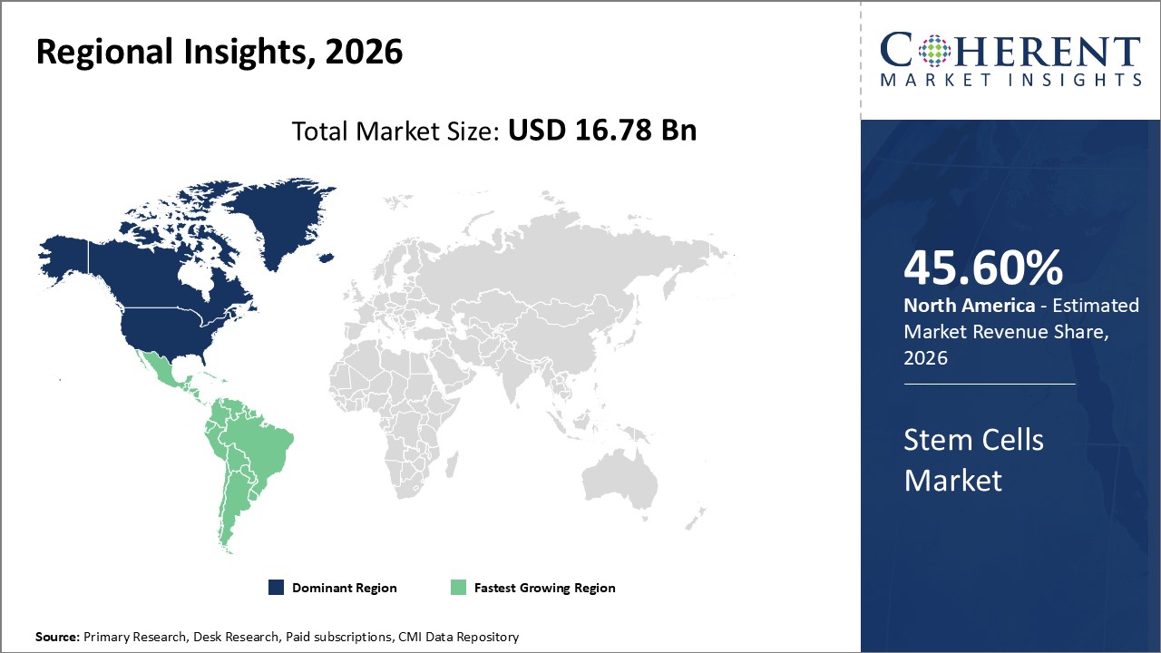 STEM CELLS MARKET